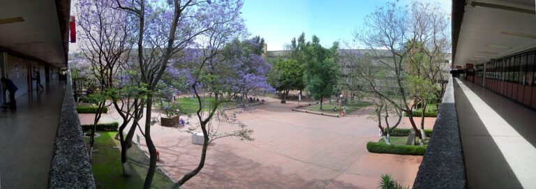 453535813 0f05151d14 b 768x271