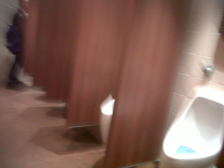 5554918465 bc583476ea b 768x576