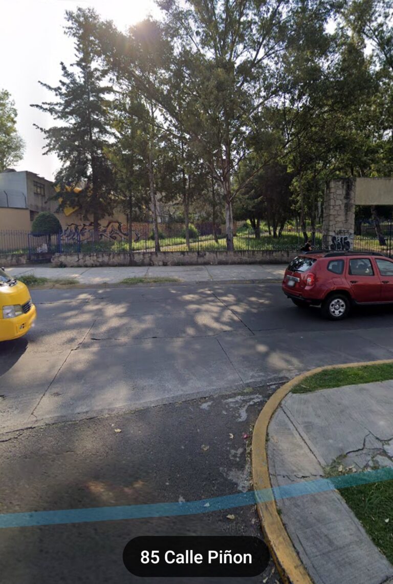 IMG 20200527 131349 768x1139