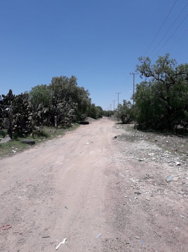 camino atras de balnearioflamingos