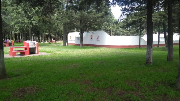 2018 09 23 1. Toluca. Parque 18 de Marzo 11 768x432