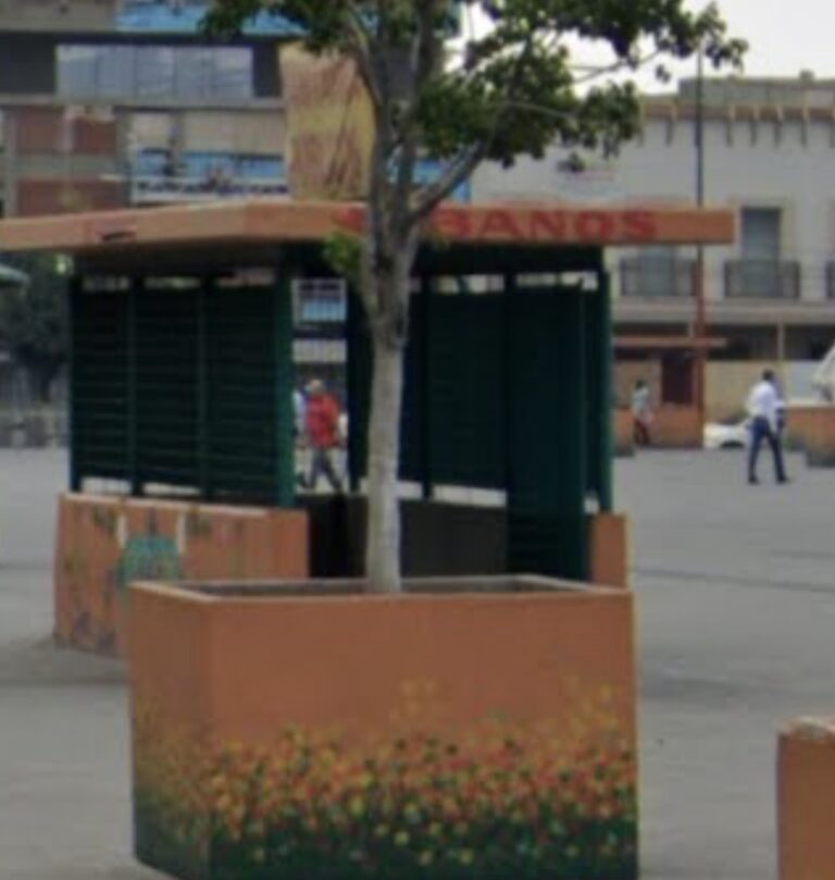 4432D8E8 D98B 4492 846A F2E409A095CA 768x809