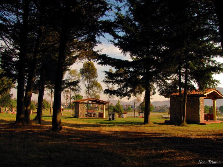 5683299221 c228ec2013 b 768x577