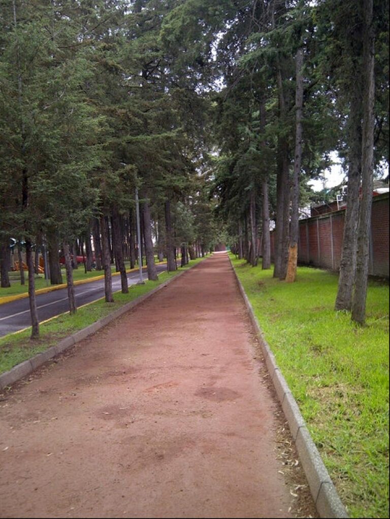 8d48e8 43f4ce5be395416699d8f7190bfd5370 768x1023