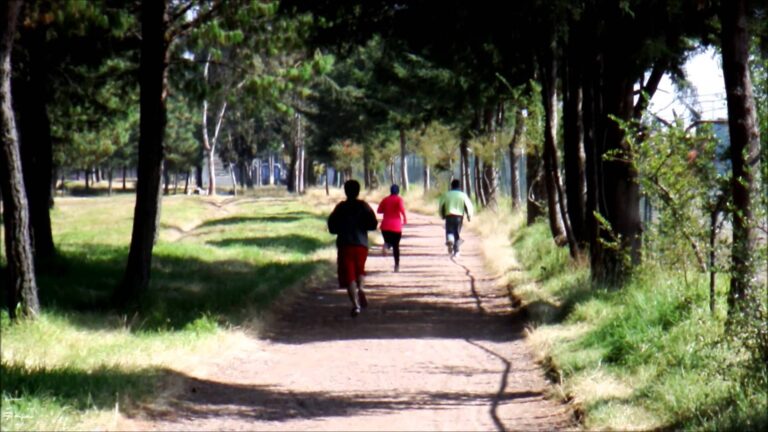 PARQUE ALAMEDA 2000 768x432