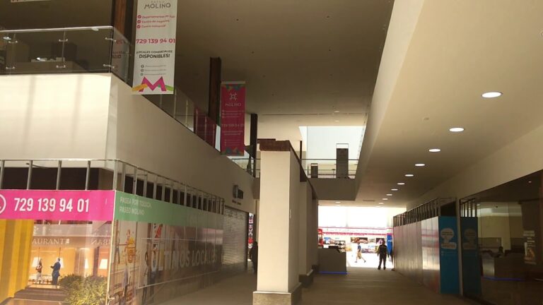 maxresdefault 1 768x432