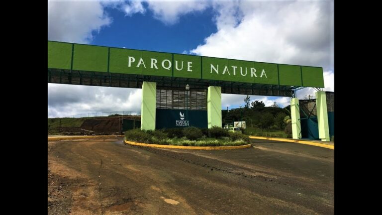 maxresdefault 768x432