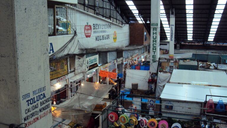 mercado16deseptiembretoluca 768x432