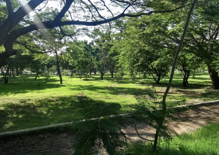 0862B7A0 A9D9 4E19 9B9D 3BCF30B07755 768x543