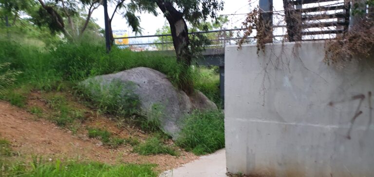 20200715 071532 768x363