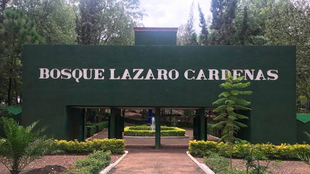 398E9CC4 8DEF 4059 8DC3 03A1FFEA97C2