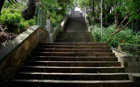 3D524BF5 2138 45E6 B1B2 FDACD8E48867