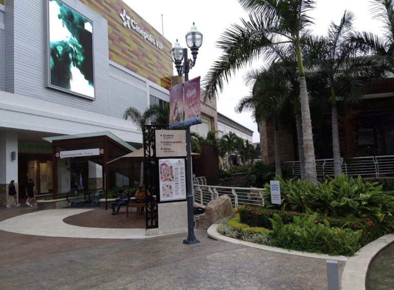 8A149CE3 07FA 4D39 801E B9FA31183E33 768x566