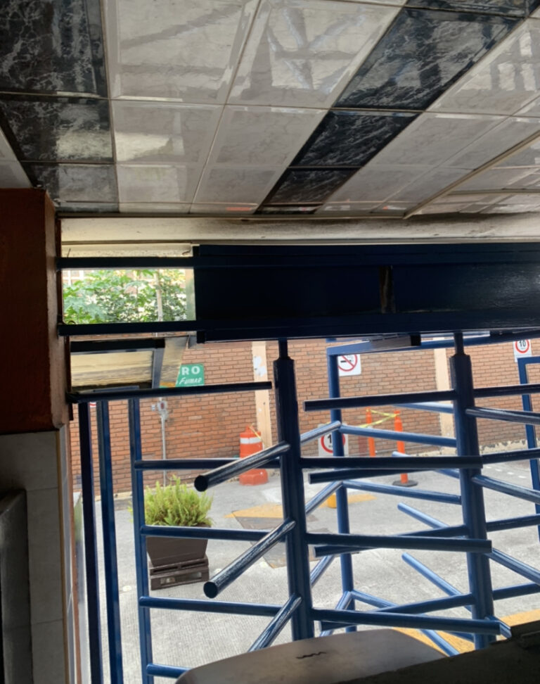 A00945B7 FF56 4177 A660 32B322D6E0DE 768x972