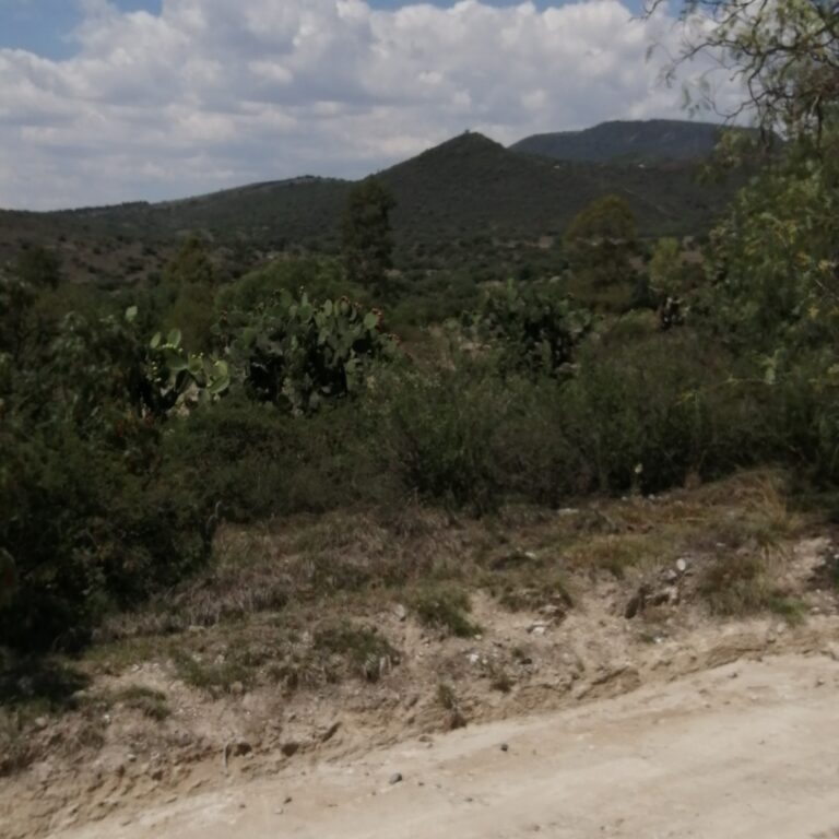 IMG 20200722 150230 768x768