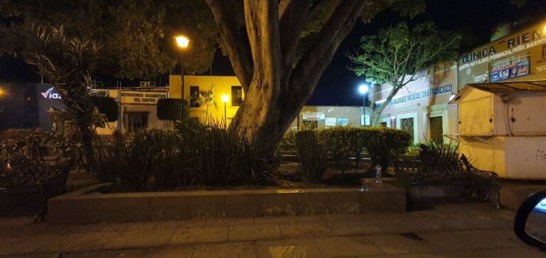 Jardin San Francisco 1 768x364