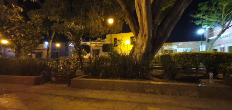 Jardin San Francisco 2 768x364