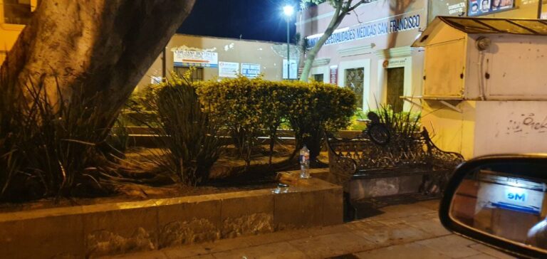 Jardin San Francisco 3 768x364