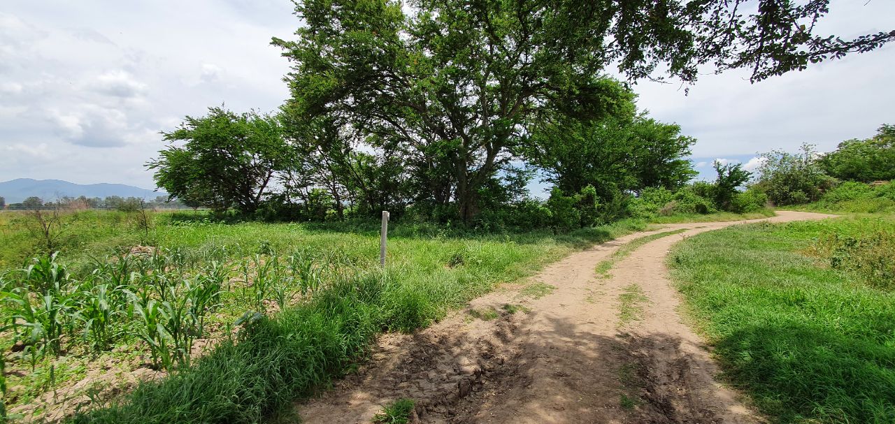 Puntos Afuera del Tequio 1