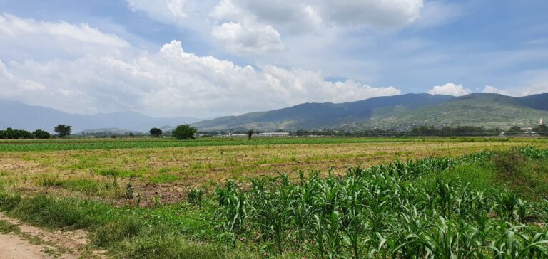 Puntos Afuera del Tequio 2 768x364