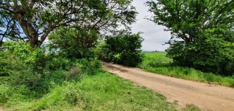 Puntos Afuera del Tequio 3 768x364