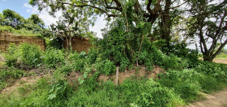 Puntos Afuera del Tequio 4 768x364