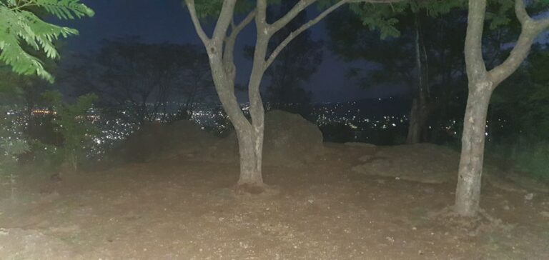 photo 2020 07 15 15.55.04 768x364