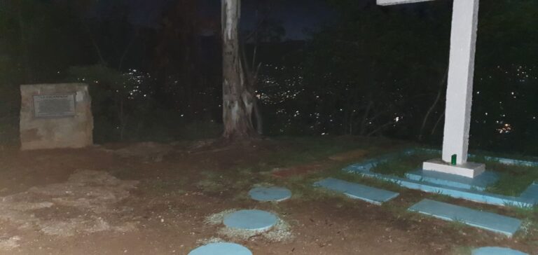 photo 2020 07 15 15.55.07 768x364