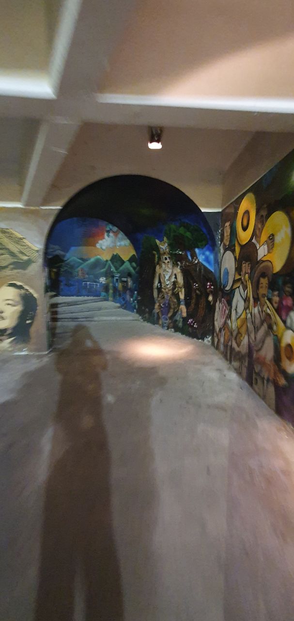 photo 2020 07 15 15.56.27