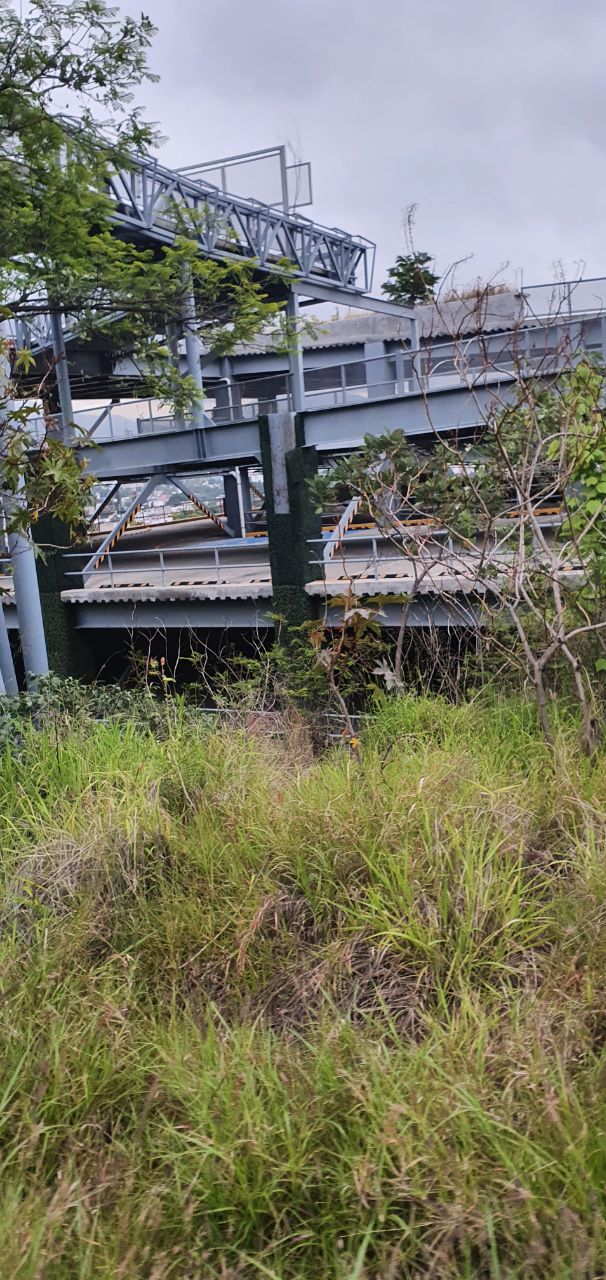 photo 2020 07 15 15.57.39