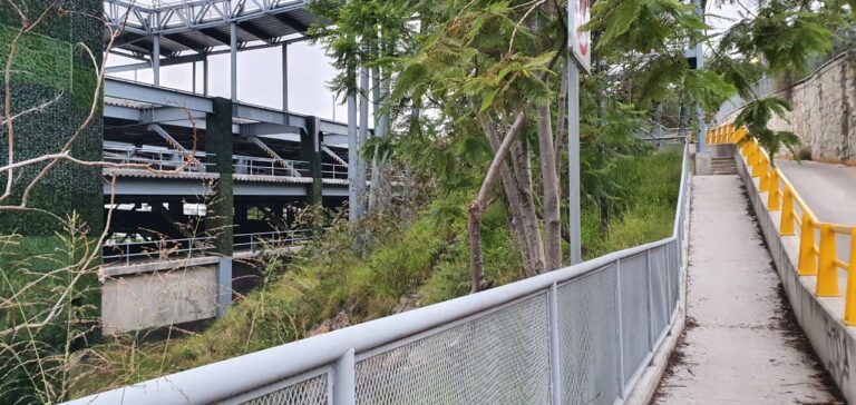 photo 2020 07 15 15.57.41 768x364