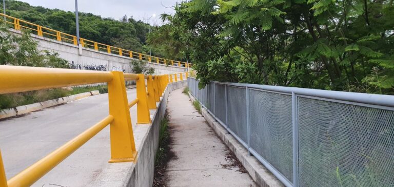 photo 2020 07 15 15.57.43 768x364