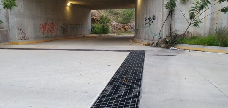 photo 2020 07 15 15.57.44 768x364