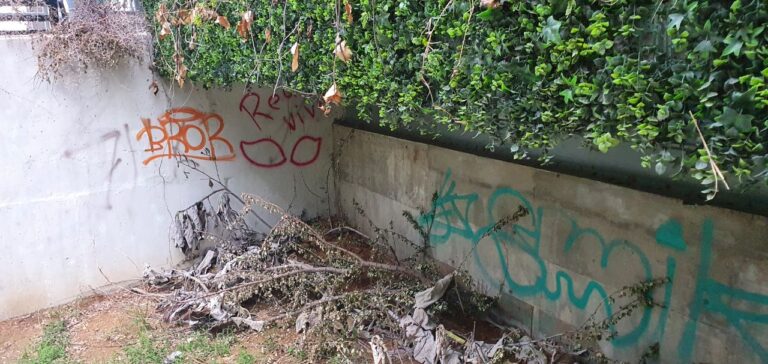 photo 2020 07 15 15.57.47 768x364