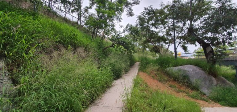 photo 2020 07 15 15.57.48 768x364