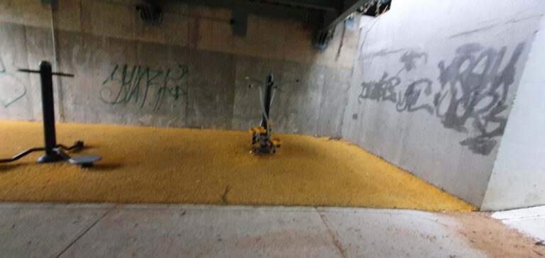 photo 2020 07 15 15.57.50 768x364