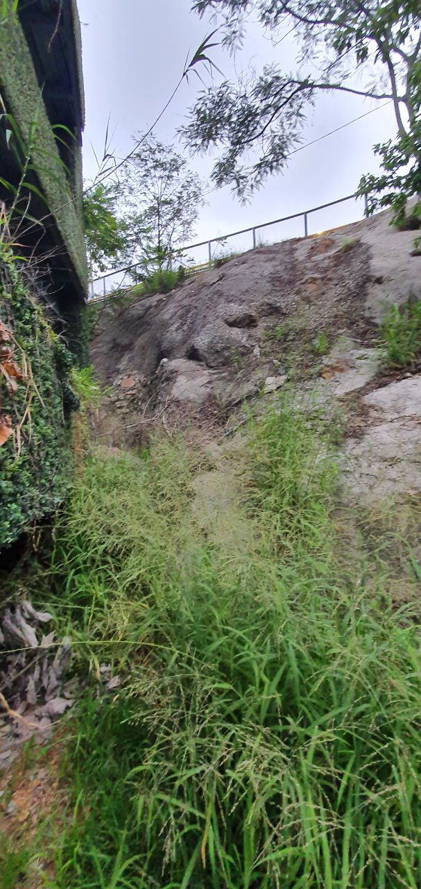 photo 2020 07 15 15.57.52