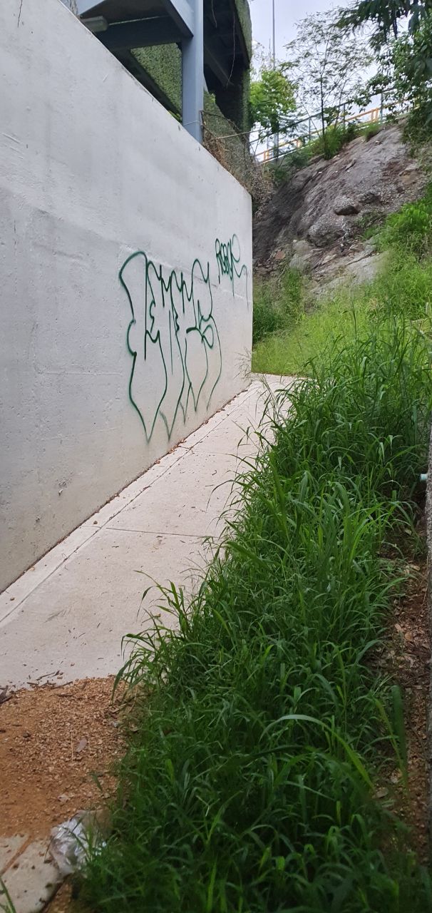 photo 2020 07 15 15.57.54