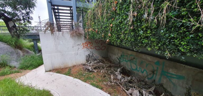 photo 2020 07 15 15.57.56 768x364