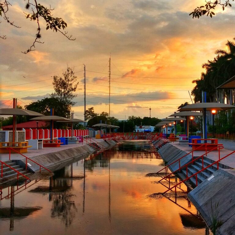 109319117 158843449090119 752145688960874372 o 768x768