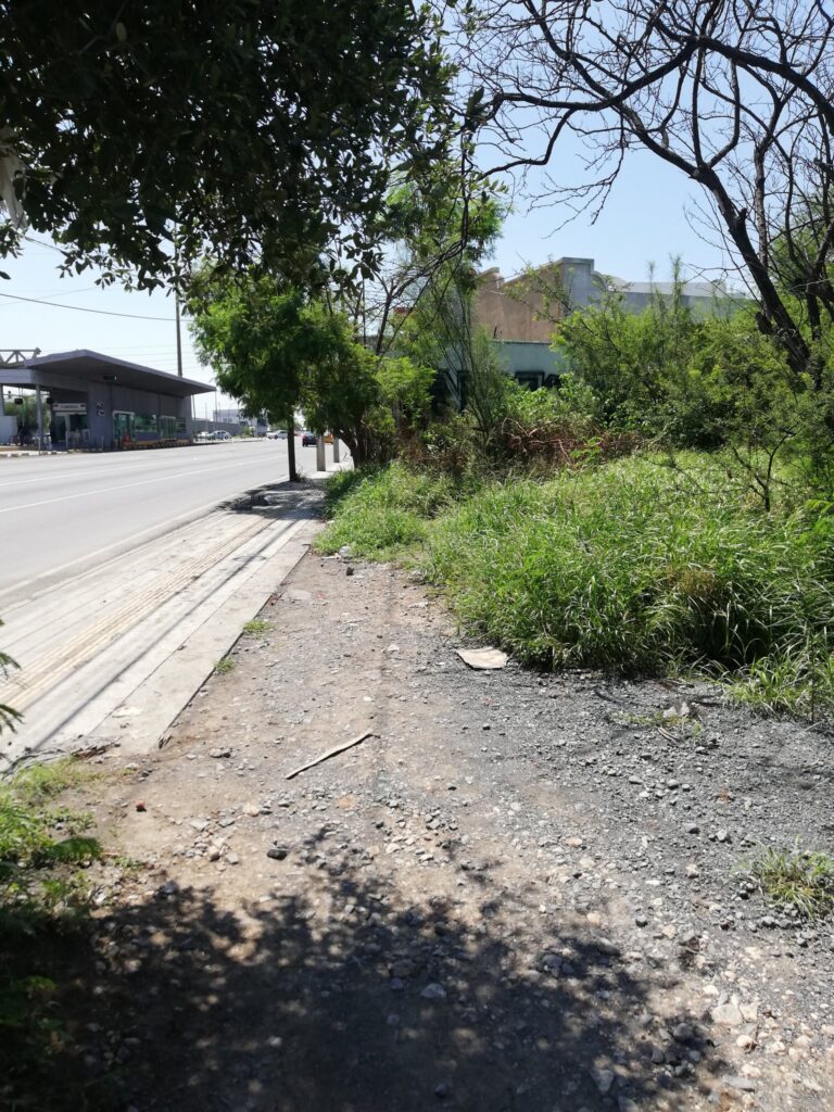 20200826 094323 768x1024