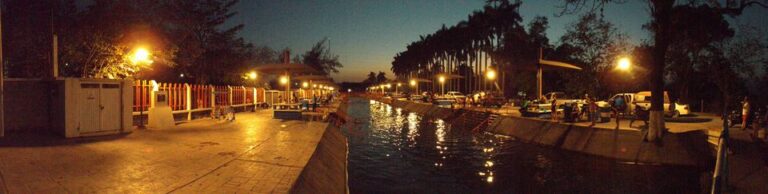 66849088 10206485565853602 1949639711836340224 o 768x194