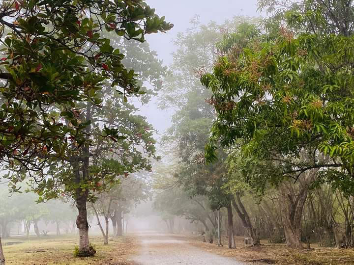 88336021 1491839970981264 5320379974731956224 n