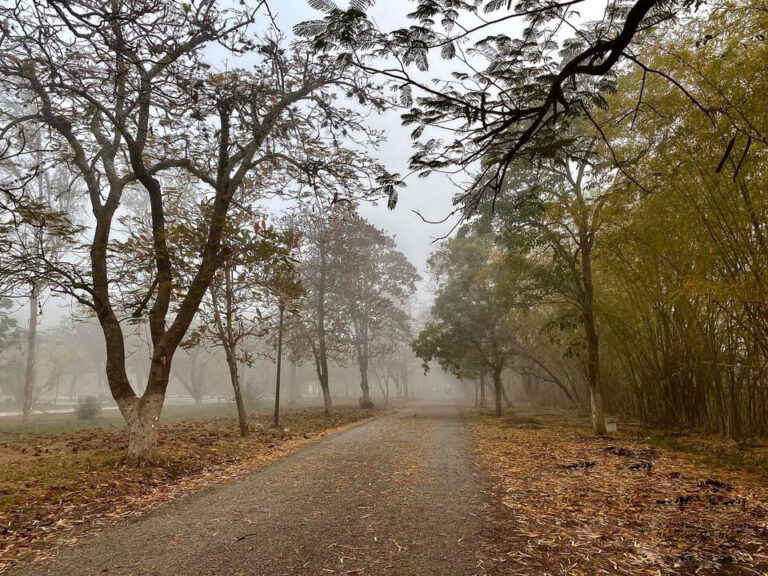 89097658 2796177270460404 5658061599307464704 o 768x576