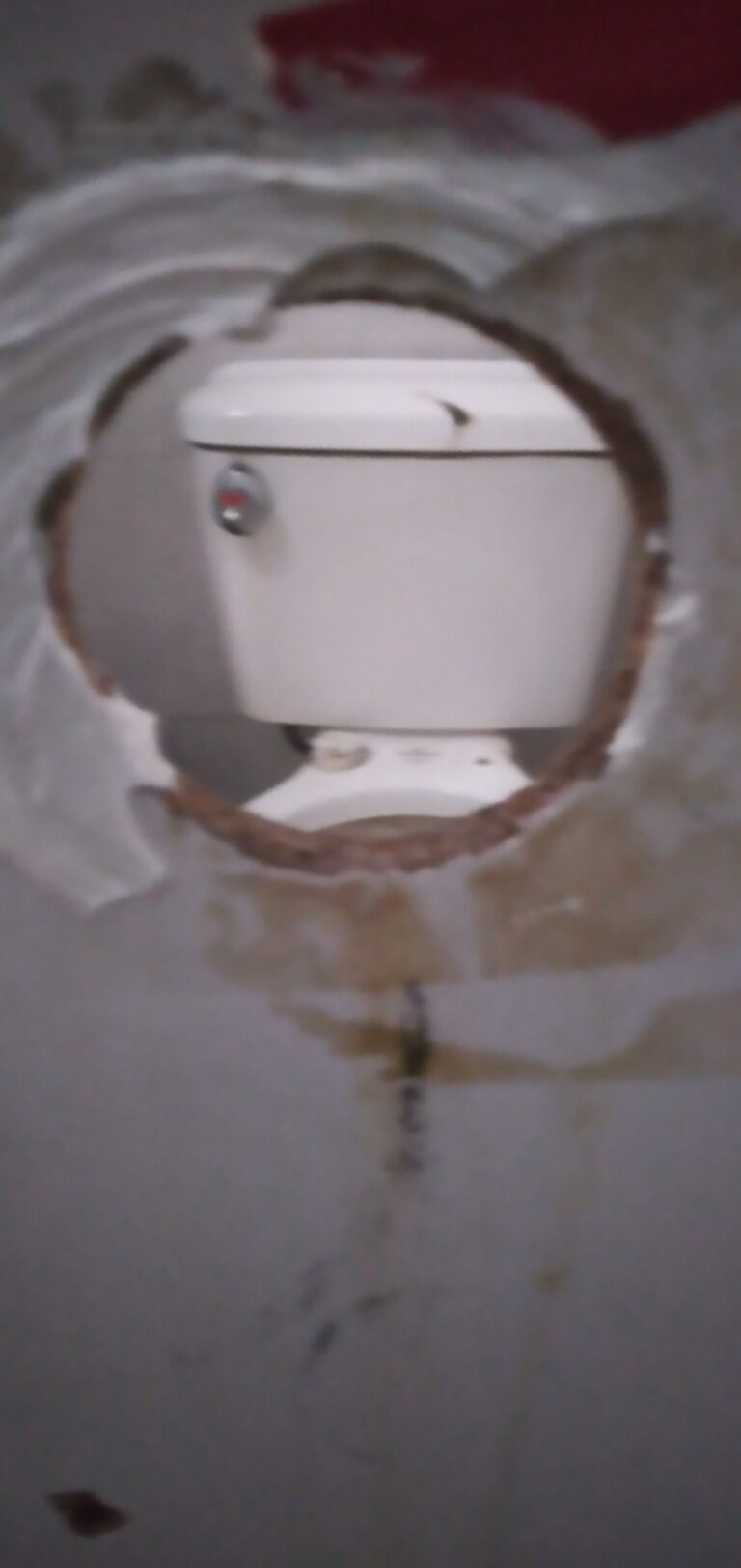 20201123 195550 mfnr 768x1623