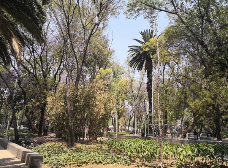 Screenshot 20201221 033813 Maps 768x566