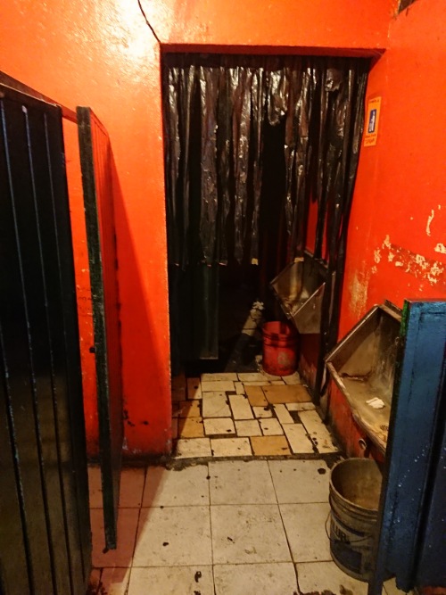 PicsArt 05 01 09.52.45